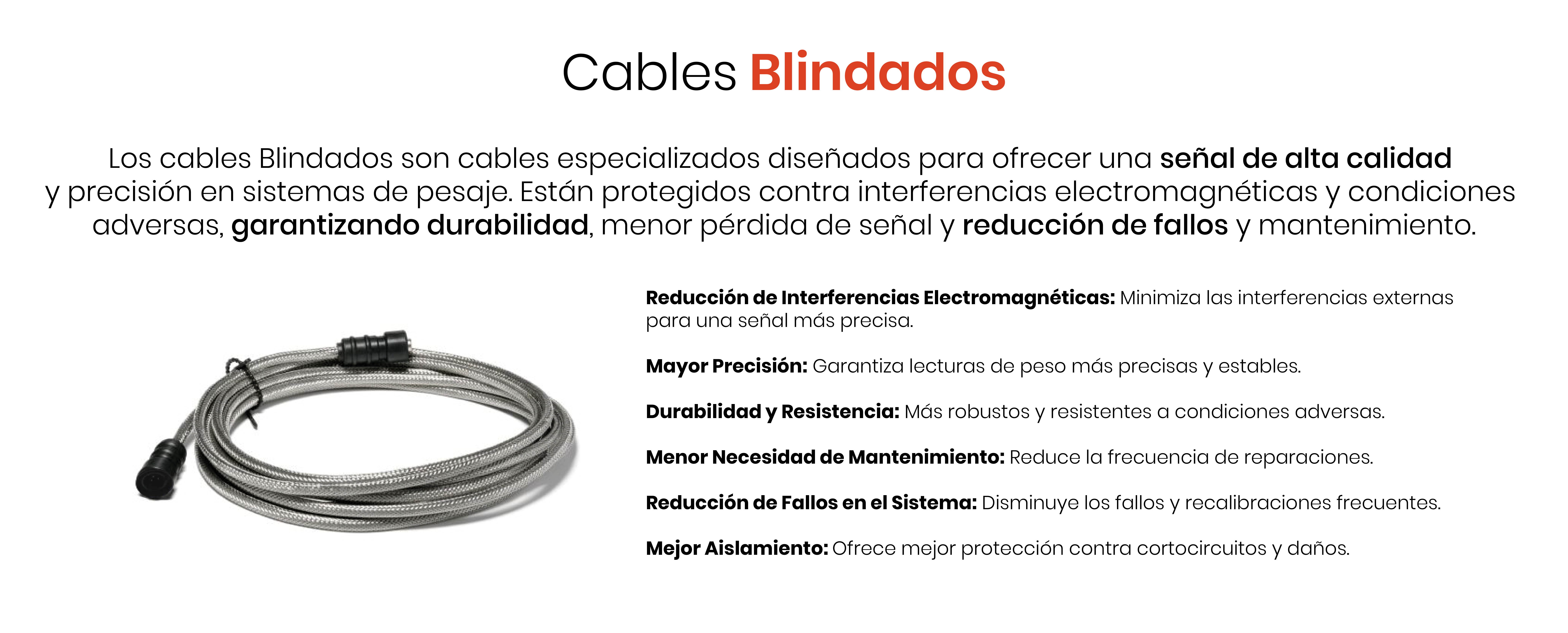 banners_Mesa-de-trabajo-1-copia-3.png
